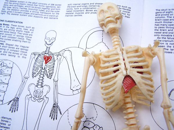 Creation of Inserted paperheart: Final Result